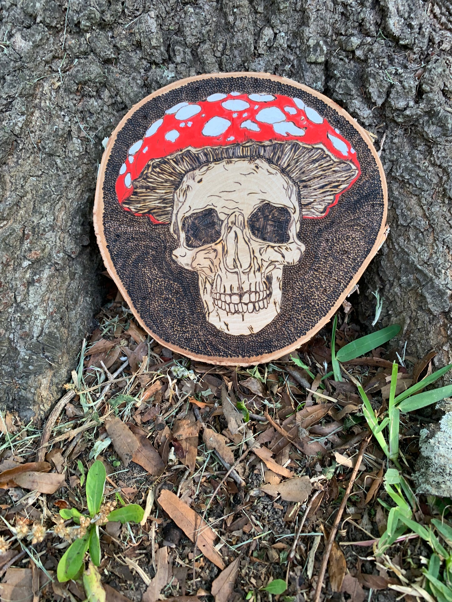 Unique Skeleton with Amanita Mushroom Head – Handburned Pyrography Art with Watercolor Accents